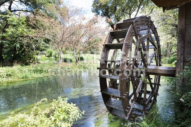 Ancient water wheel within serene and scenic river - ThamKC Royalty-Free Photos