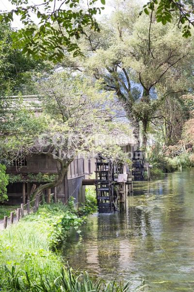 Ancient water wheel within serene and scenic river - ThamKC Royalty-Free Photos