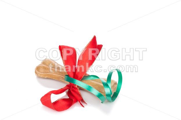 Dog bone Christmas gift wrapped with green and red ribbon - ThamKC Royalty-Free Photos