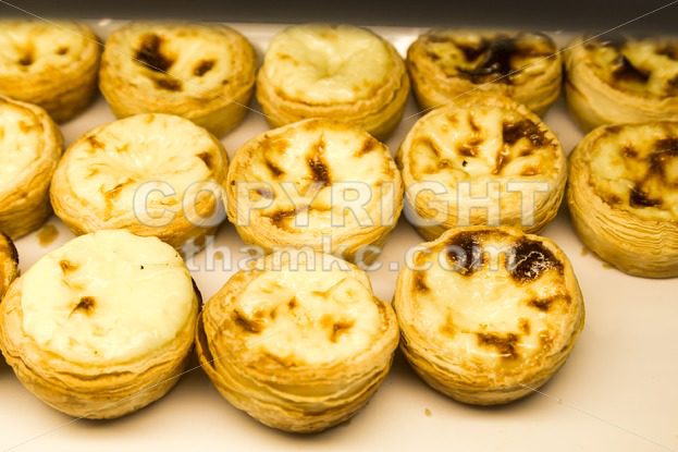 Tray of freshly baked delicious Portuguese egg tarts - ThamKC Royalty-Free Photos