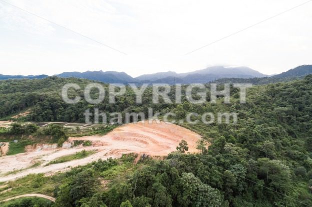 Tropical jungle clearing for development - ThamKC Royalty-Free Photos