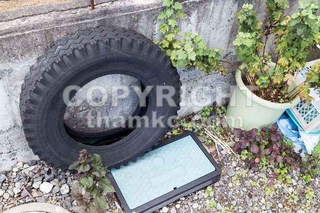 Used tires traps rain water risk breeding ground for mosquito - ThamKC Royalty-Free Photos