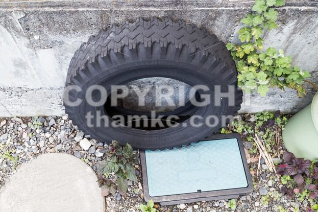 Used tires traps rain water risk breeding ground for mosquito - ThamKC Royalty-Free Photos
