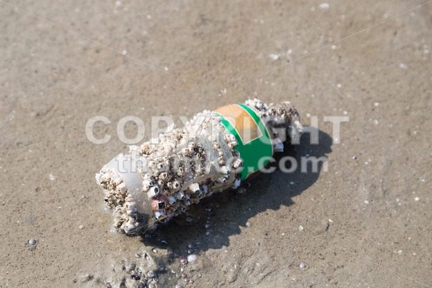 Bottle with corals washed up the sea shore beach sand - ThamKC Royalty-Free Photos