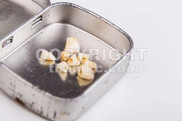 Collection of extracted milk teeth kept in box - ThamKC Royalty-Free Photos