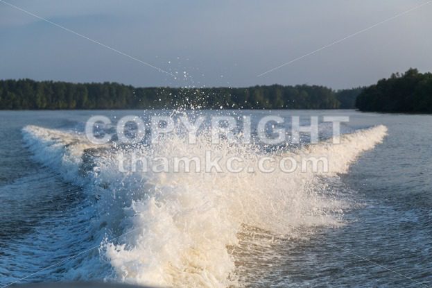 Wave generated by speed boat engine in ocean - ThamKC Royalty-Free Photos