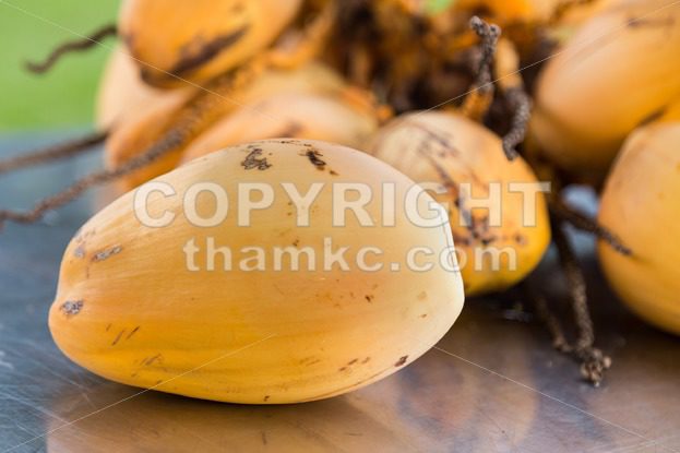 Bunch of fresh yellow young coconut for refreshing drinks - ThamKC Royalty-Free Photos