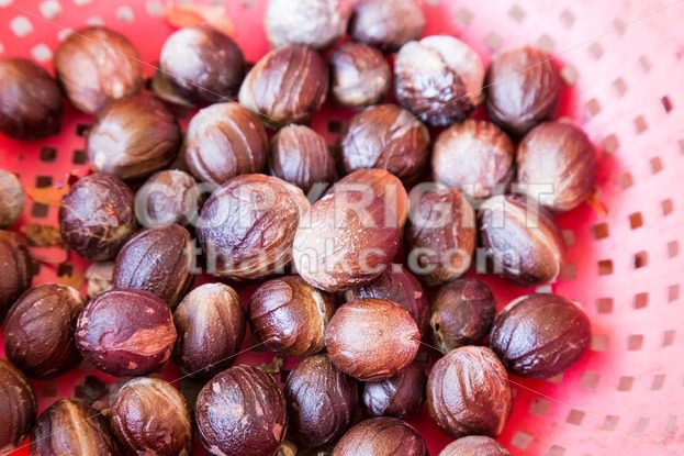 Close-up of fresh nutmeg fruit mace seed - ThamKC Royalty-Free Photos