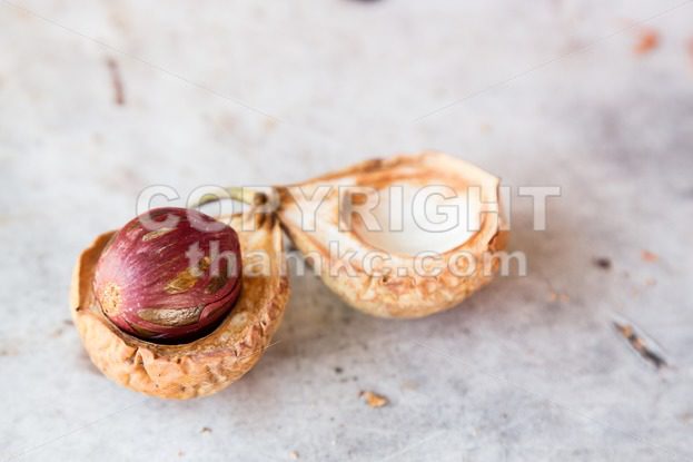 Close-up of fresh nutmeg fruit with mace seed - ThamKC Royalty-Free Photos