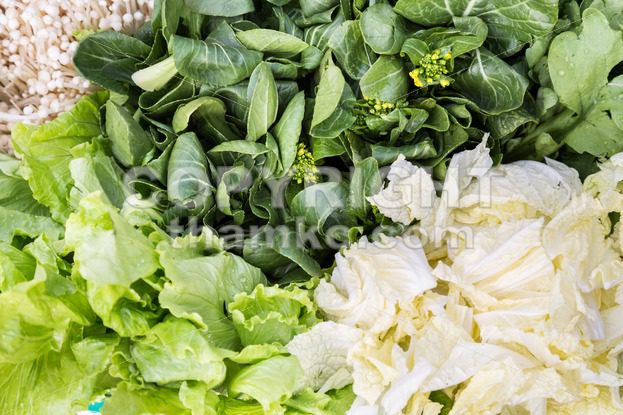 Close-up of healthy organic green leafy vegetable - ThamKC Royalty-Free Photos
