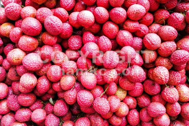 Close-up on heap group of lychee fruits tied together - ThamKC Royalty-Free Photos