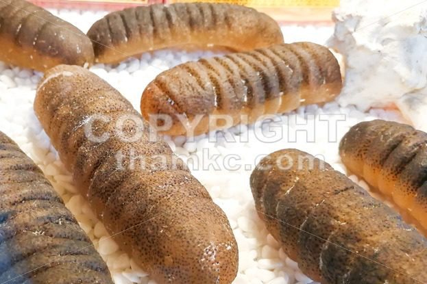 Dried sea cucumber, a delicacy in Chinese cuisine - ThamKC Royalty-Free Photos