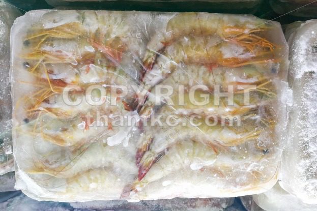 Frozen prawns shrimps in ice bag to preserve freshness - ThamKC Royalty-Free Photos