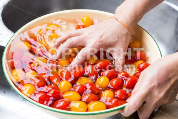 Hand washing cherry tomato with running water in household sink - ThamKC Royalty-Free Photos
