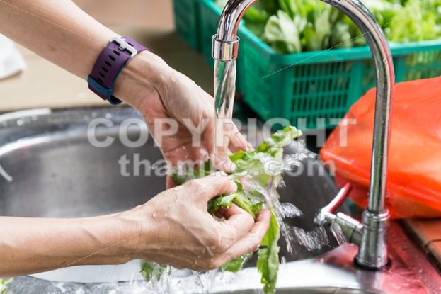 Hand washing leafy vegetable with running water in household sink - ThamKC Royalty-Free Photos