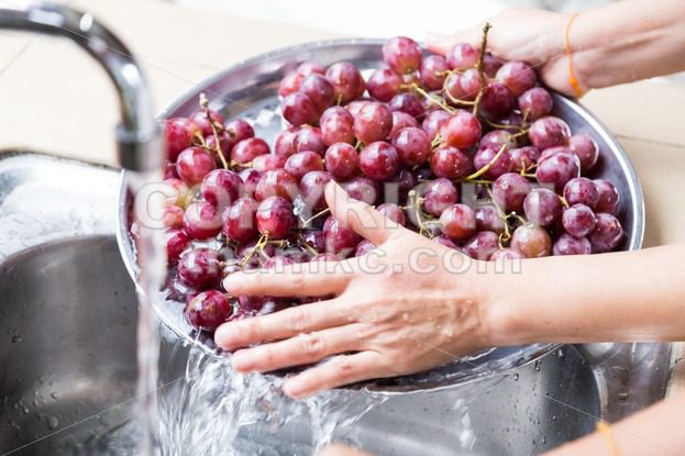 Person’s hand washing grapes with running water in household sink - ThamKC Royalty-Free Photos
