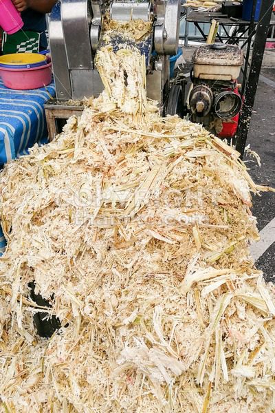 Sugarcane bagasse can be recycled as paper, fuel, renewable energy. - ThamKC Royalty-Free Photos